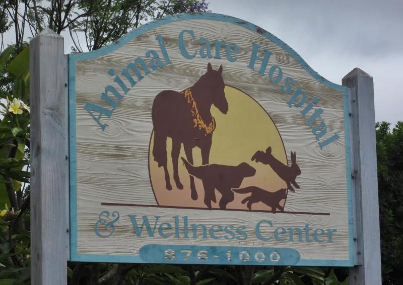 Carousel Slide 5: Compassionate Veterinary Care in Kula