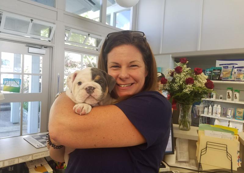 Carousel Slide 6: Welcoming all puppy patients!